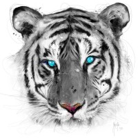 Patrice Murciano - Animals White - Tiger I