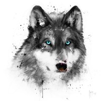 Patrice Murciano - Animals White - Wolf