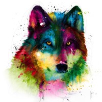 Patrice Murciano - Animals - Wolf