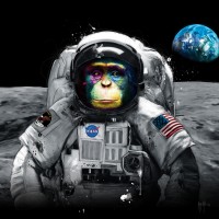 Patrice Murciano - Animals in Uniforms - Chimp - Apollo 11