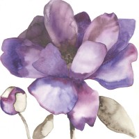 Cathy Hendrick - Purple Beauty I