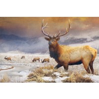 Chris Vest - Jackson Refuge Elk