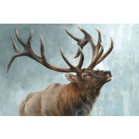 Dina Perejogina - Rising Bull Elk 