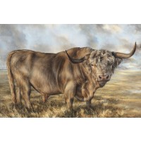 Dina Perejogina - Highland Brown Bull 
