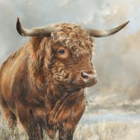 Dina Perejogina - Wild Filed Bull 