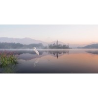 Richard Desmarais - Egret Lake