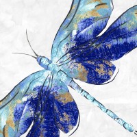 Eva Watts  - Blue Dragonfly 