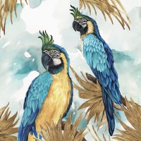 Eva Watts  - Golden Parrots