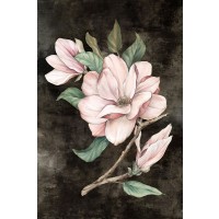 Eva Watts - Pink Magnolia I