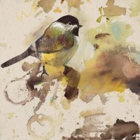 Daniel St Amant - Yellow Wooland Bird 