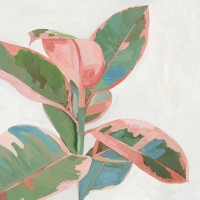 Asia Jensen - Pink Ficus I