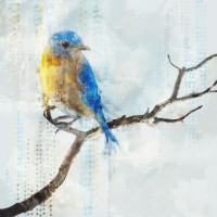 Ken Roko - Little Blue Bird I 