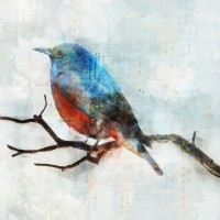 Ken Roko - Little Blue Bird II 