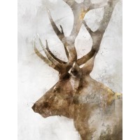 Ken Roko - Stoic Elk