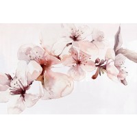PI Studio - Watercolor Blossoms I