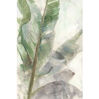 Matina Theodosiou - Tropic Plant