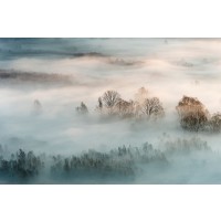 Galimberti - Winter Fog