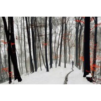 Krivec - Through autumn and winter