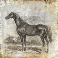 Christine Zalewski - Gold Stallion I