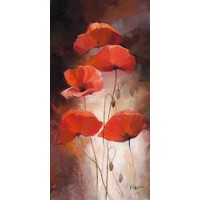 Poppy Bouquet II-Willem Haenraets  