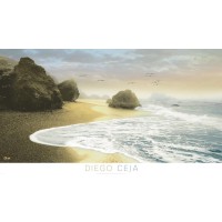 Diego Ceja - Bodega Beach I  