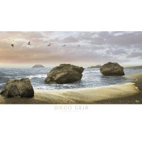 Diego Ceja - Bodega Beach II  