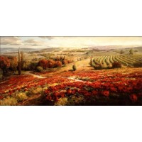 Roberto Lombardi - Red Poppy Panorama -Ovs  