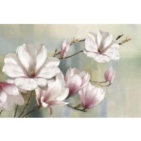 Rogier Daniels - Magnolia Blooms 