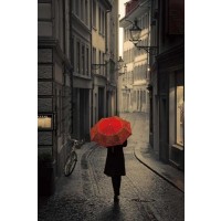 Stefano Corso - Red Rain  