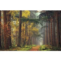 Lars Van De Goor - Colors Of The Forest  