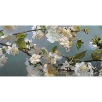 Rick Novak - Blue Blossoms 