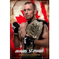 UFC - George St-Pierre - Cana  