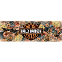 Harley-Davidson - Travel  