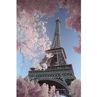 Paris - Infrared Eiffel-Tower  