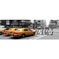 NY-Yellow taxi - Penguins  