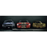 Ford Mustang - Three Muscle Cars  