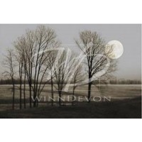 November Moon-Heather Jacks  