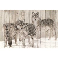 Jacquie Vaux - Three Grey Wolves On Wood