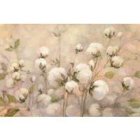 Julia Purinton - Cotton Field Crop  
