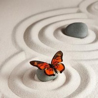 Zen Rocks With Butterfly 