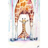 Marc Allante - Gorgeous Giraffes