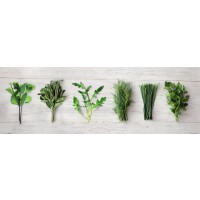 Herbs - Kitchen