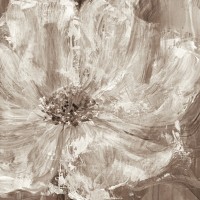 Philip Brown - Confetti Bloom I 