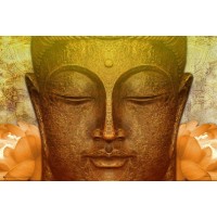 Buddha - Abiding in Mindfulness