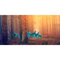 Arlo Wren Photos -  In the woods