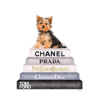 Amanda Greenwood - Bookstack Yorkie