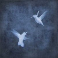 Chris Donovan - Flight in Blue I