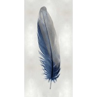 Julia Bosco - Blue Feather on Silver I