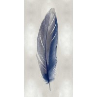 Julia Bosco - Blue Feather on Silver II
