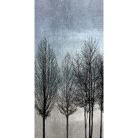 Kate Bennett - Tree Silhouette I